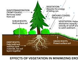 Improving soil health